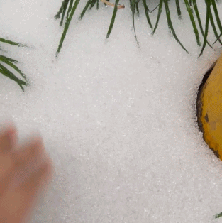 南方冻雨终于上热搜，这两天湖北人硬扛的样子太难了194 / 作者:儿时的回忆 / 帖子ID:313501