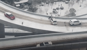 南方冻雨终于上热搜，这两天湖北人硬扛的样子太难了199 / 作者:儿时的回忆 / 帖子ID:313501