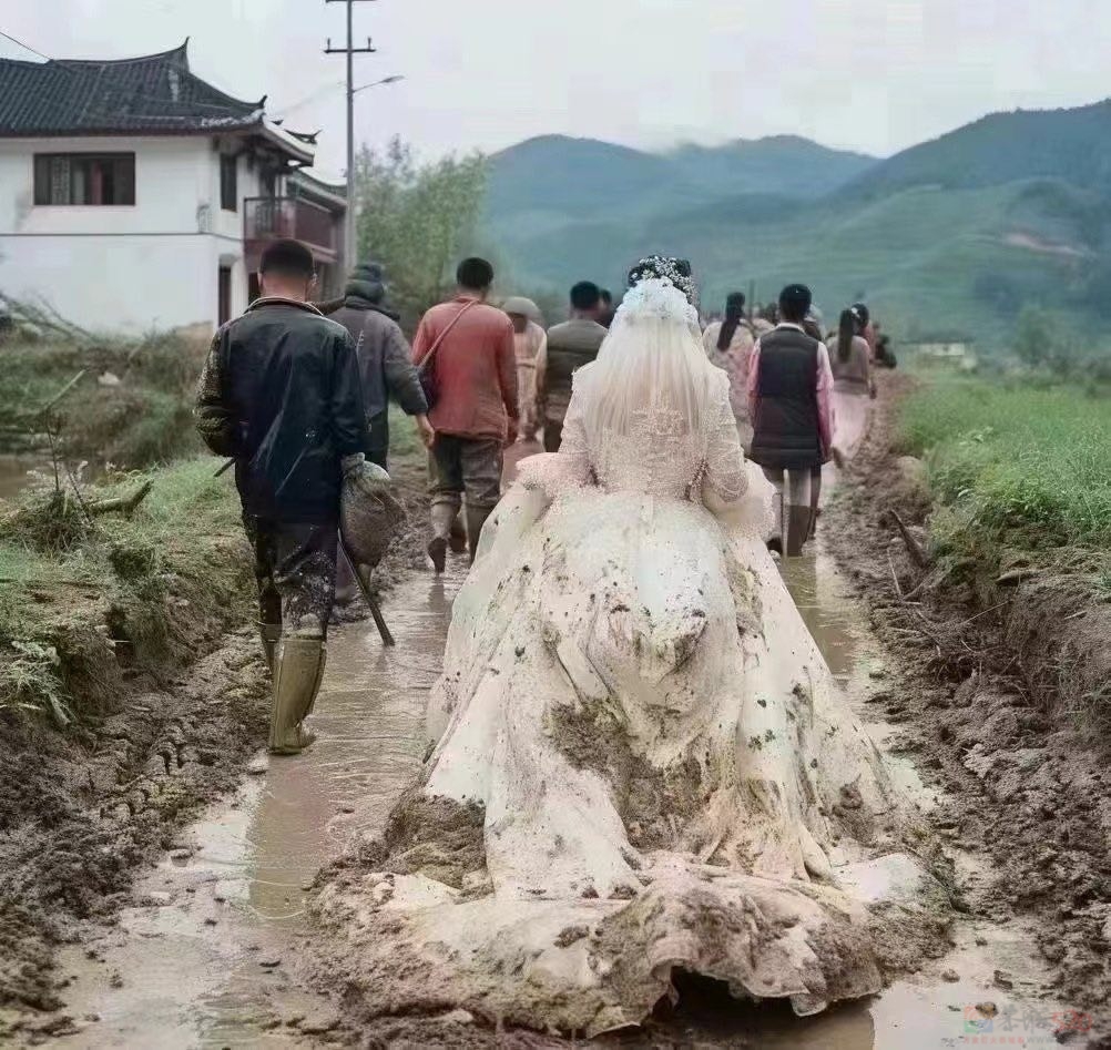 这种地方也要穿婚纱吗？249 / 作者:zero_river / 帖子ID:313502