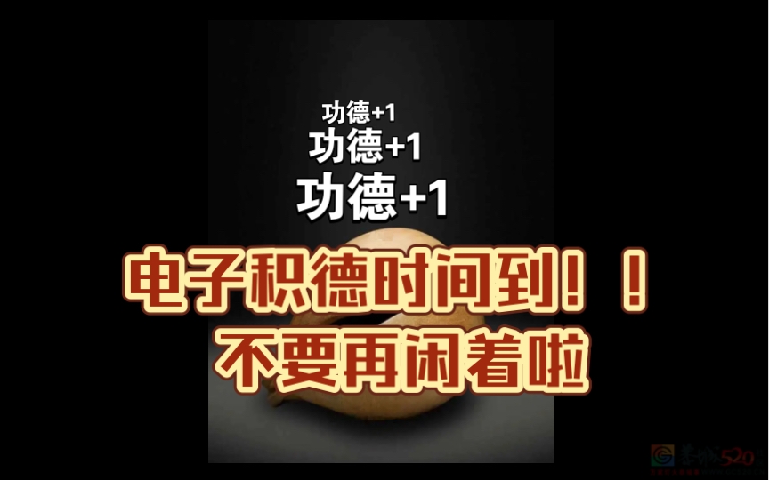 快过年了，功德还没修满的进~245 / 作者:论坛小编01 / 帖子ID:313527