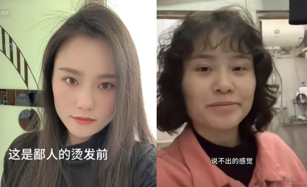 爆火的“辛芷蕾头”，把大学生害惨了！208 / 作者:儿时的回忆 / 帖子ID:313542