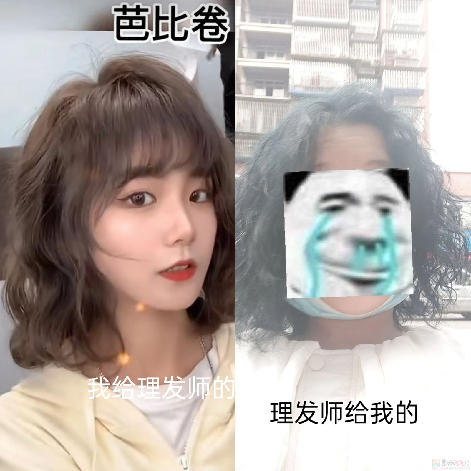 爆火的“辛芷蕾头”，把大学生害惨了！367 / 作者:儿时的回忆 / 帖子ID:313542