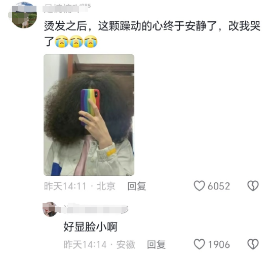 爆火的“辛芷蕾头”，把大学生害惨了！450 / 作者:儿时的回忆 / 帖子ID:313542