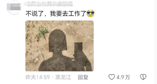 爆火的“辛芷蕾头”，把大学生害惨了！791 / 作者:儿时的回忆 / 帖子ID:313542