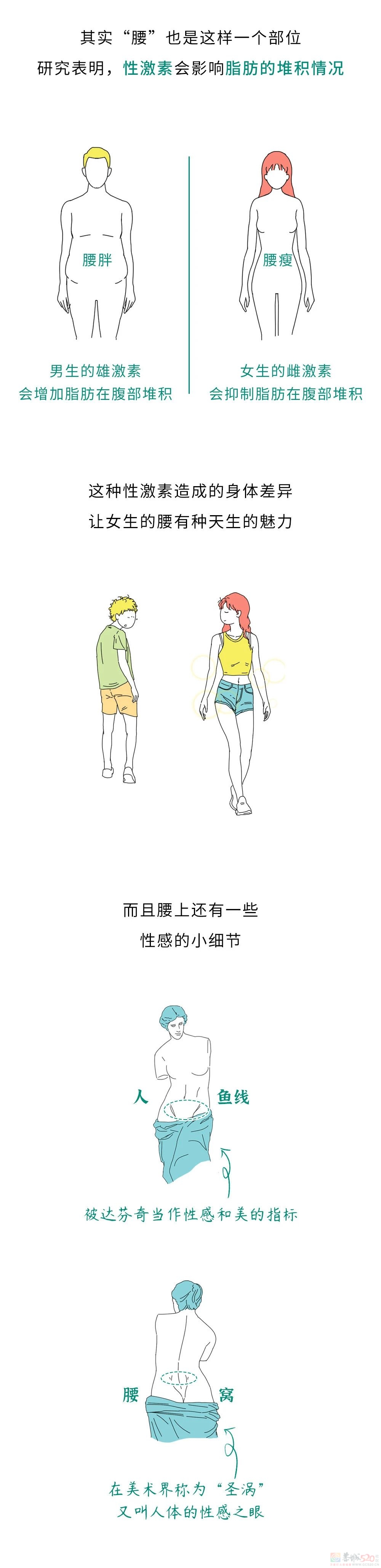 女生的腰为什么不能碰？（男生禁入）706 / 作者:儿时的回忆 / 帖子ID:313649