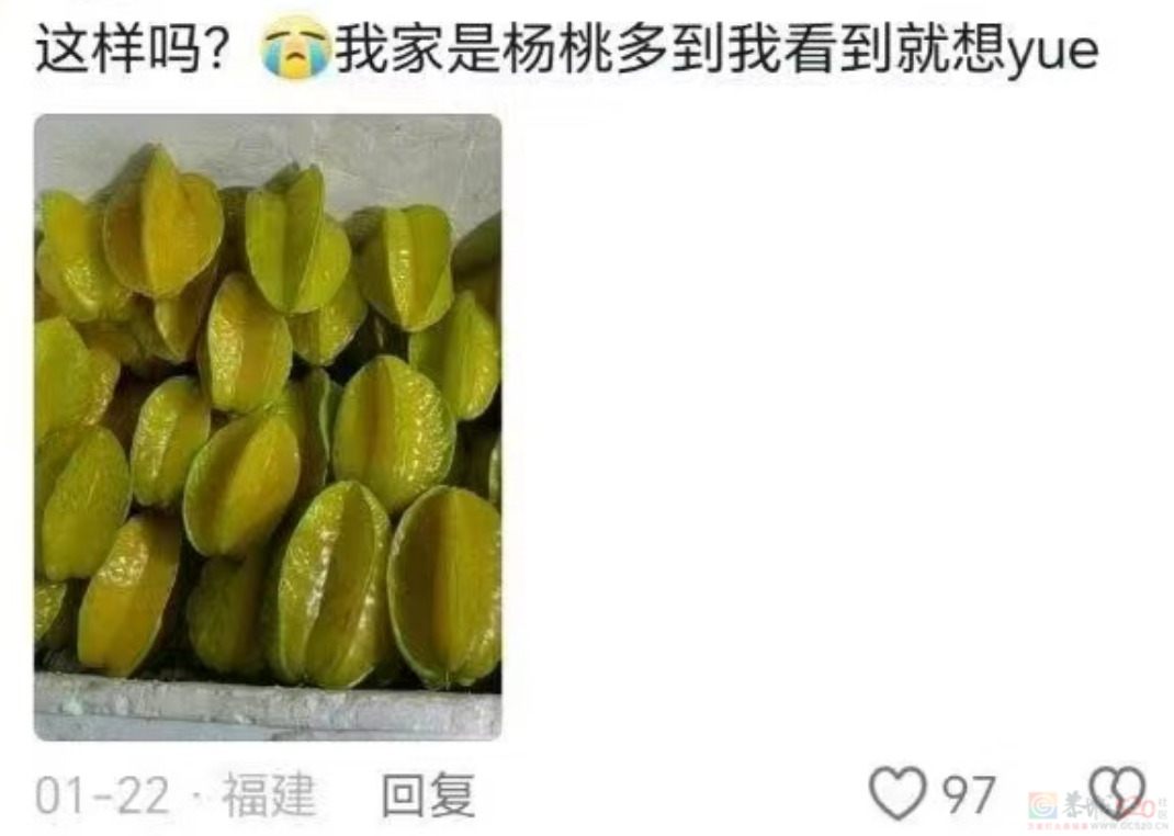 各省过年头号噩梦，这道菜在桌子上吃到想吐还吃没完634 / 作者:儿时的回忆 / 帖子ID:313651