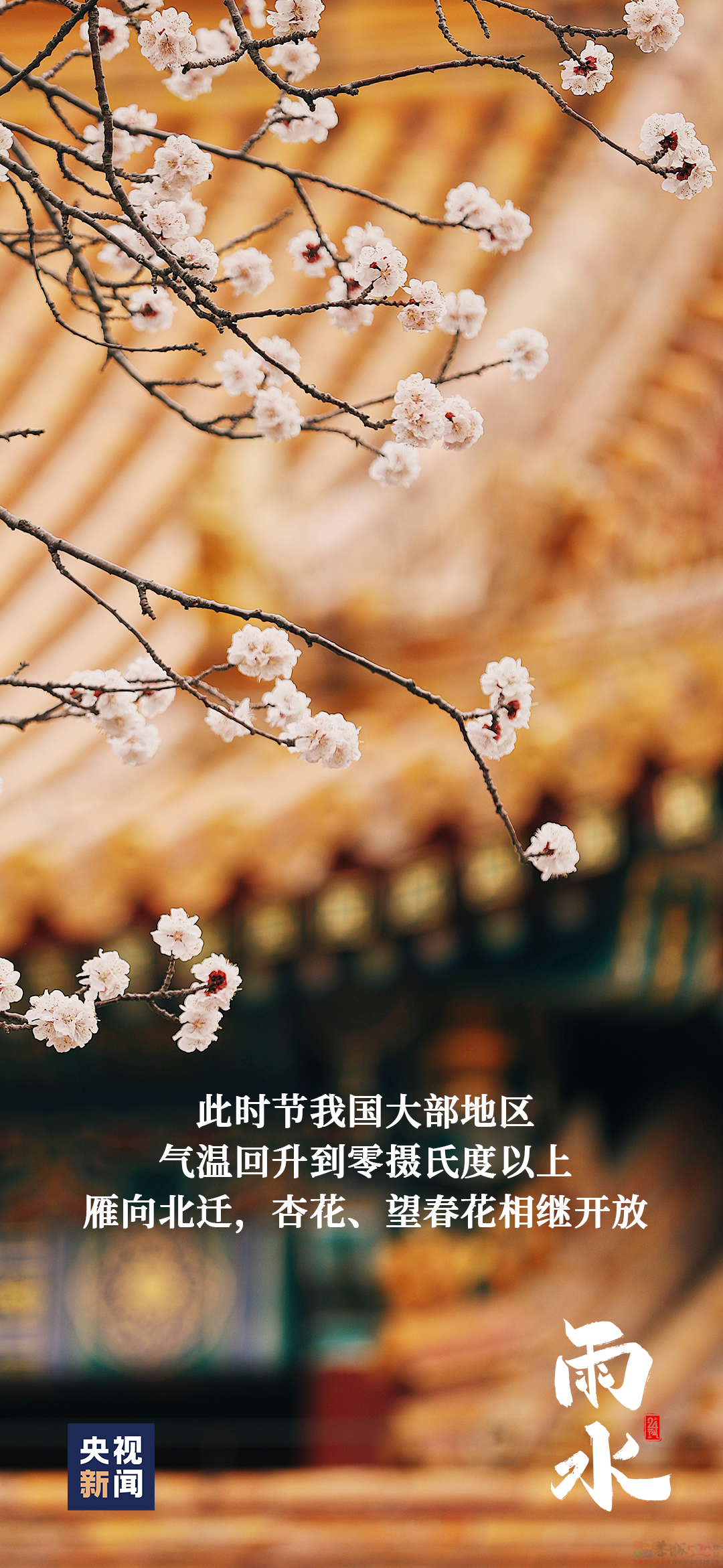 今日，雨水202 / 作者:登山涉水 / 帖子ID:313714