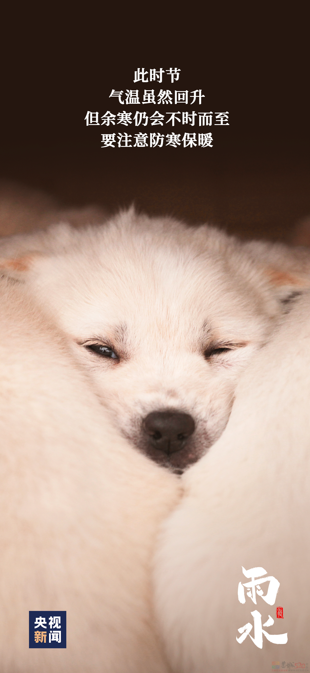 今日，雨水938 / 作者:登山涉水 / 帖子ID:313714