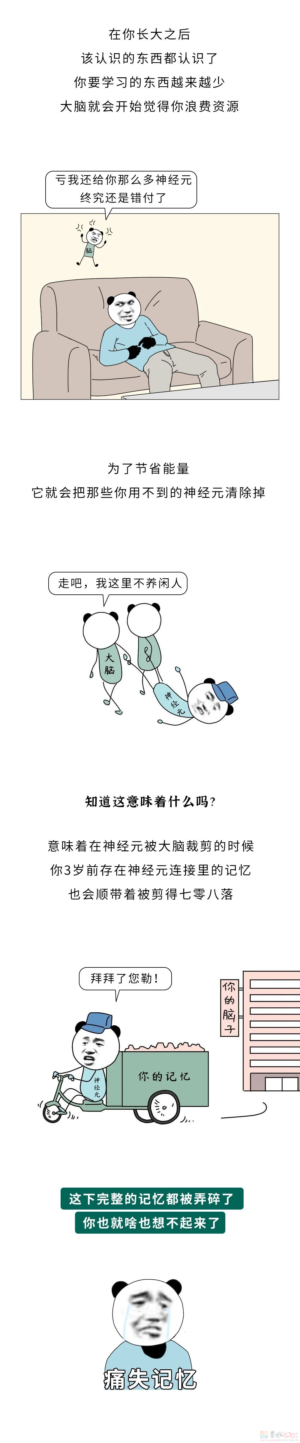 大脑为啥要删除3岁前的记忆？你小时候到底看见了啥？730 / 作者:儿时的回忆 / 帖子ID:313744