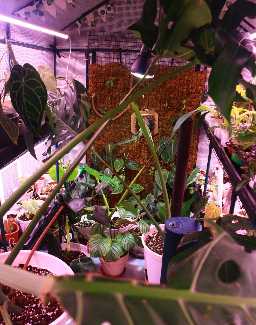 直接入住毛坯房的年轻人，才是真生猛895 / 作者:儿时的回忆 / 帖子ID:313819
