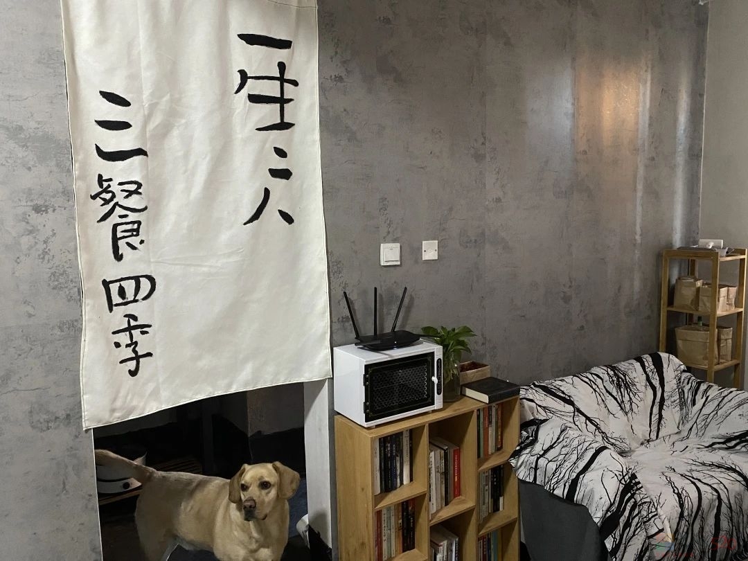直接入住毛坯房的年轻人，才是真生猛442 / 作者:儿时的回忆 / 帖子ID:313819