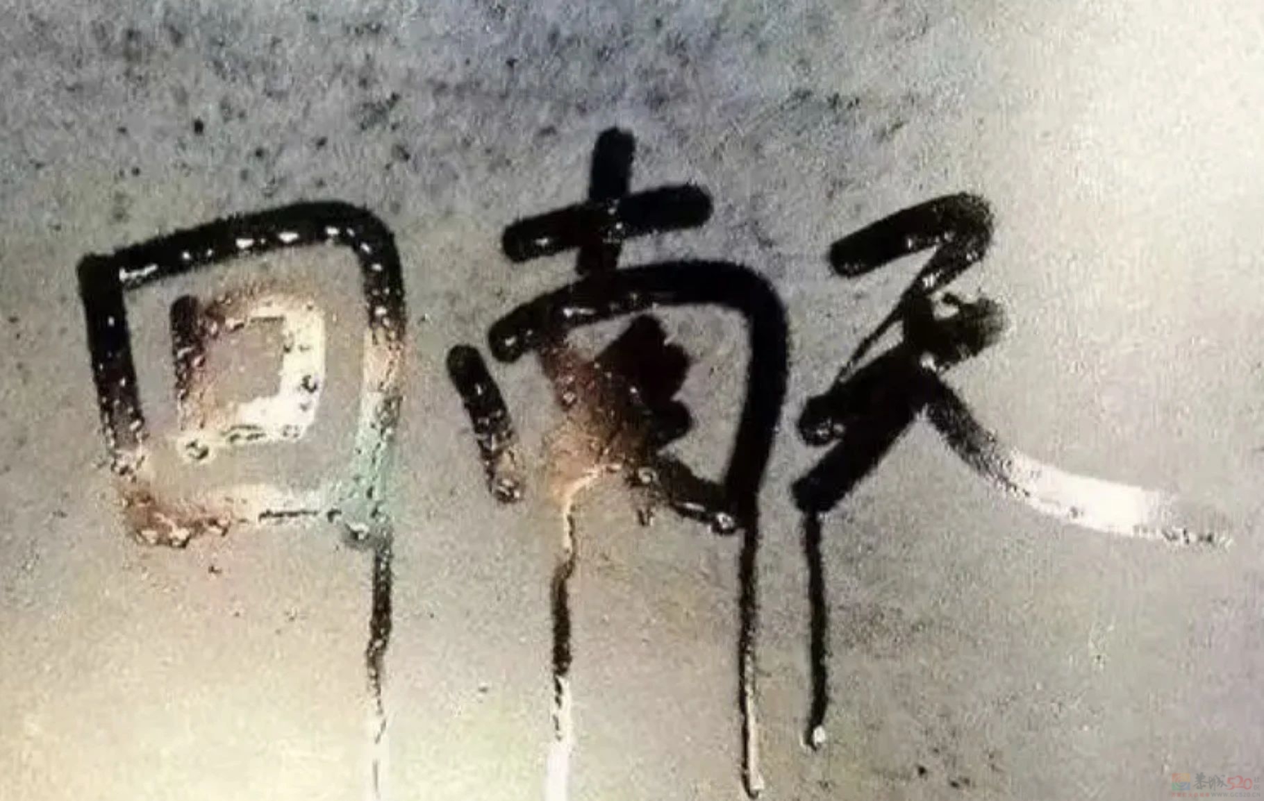 阴雨天+回南天，广西天气还是冷冷冷！86 / 作者:尹以为荣 / 帖子ID:313864