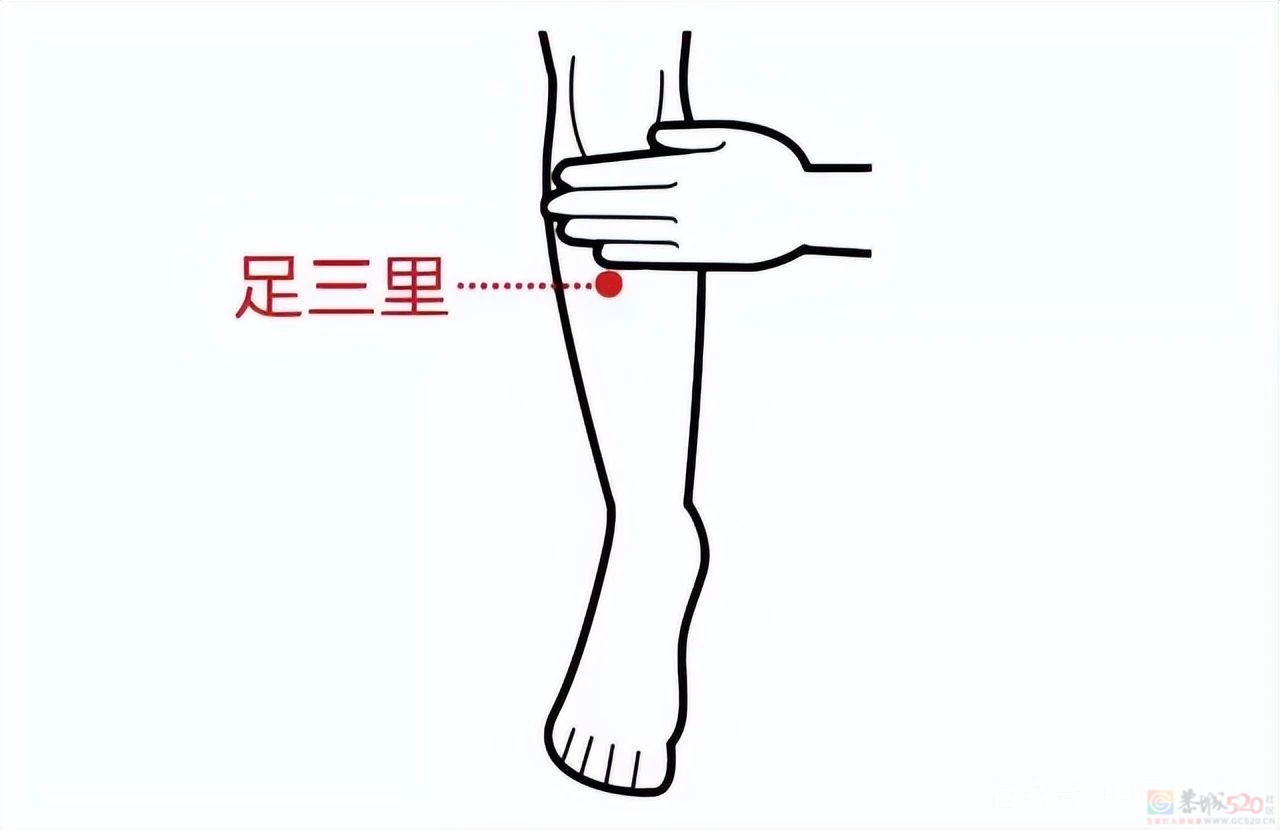 中医劝你春季“养脾胃”！这些症状说明脾胃不好252 / 作者:健康小天使 / 帖子ID:313867