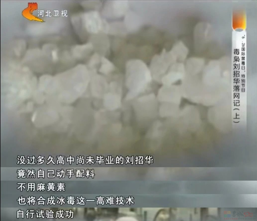 恭喜，张颂文也被内娱毁了419 / 作者:该做的事情 / 帖子ID:313885