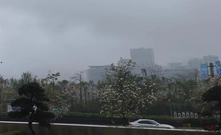 雨、雾、回南……新一股冷空气到广西，湿冷天气还将持续！784 / 作者:尹以为荣 / 帖子ID:313909