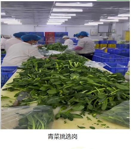 招人啦！包吃包住，购买五险，年龄58周岁以下都要！927 / 作者:论坛小编01 / 帖子ID:313926