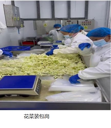 招人啦！包吃包住，购买五险，年龄58周岁以下都要！298 / 作者:论坛小编01 / 帖子ID:313926