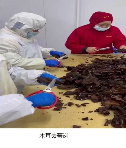 招人啦！包吃包住，购买五险，年龄58周岁以下都要！813 / 作者:论坛小编01 / 帖子ID:313926