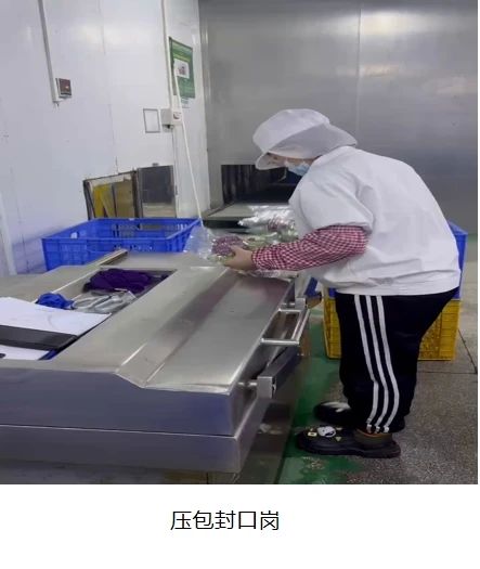 招人啦！包吃包住，购买五险，年龄58周岁以下都要！58 / 作者:论坛小编01 / 帖子ID:313926