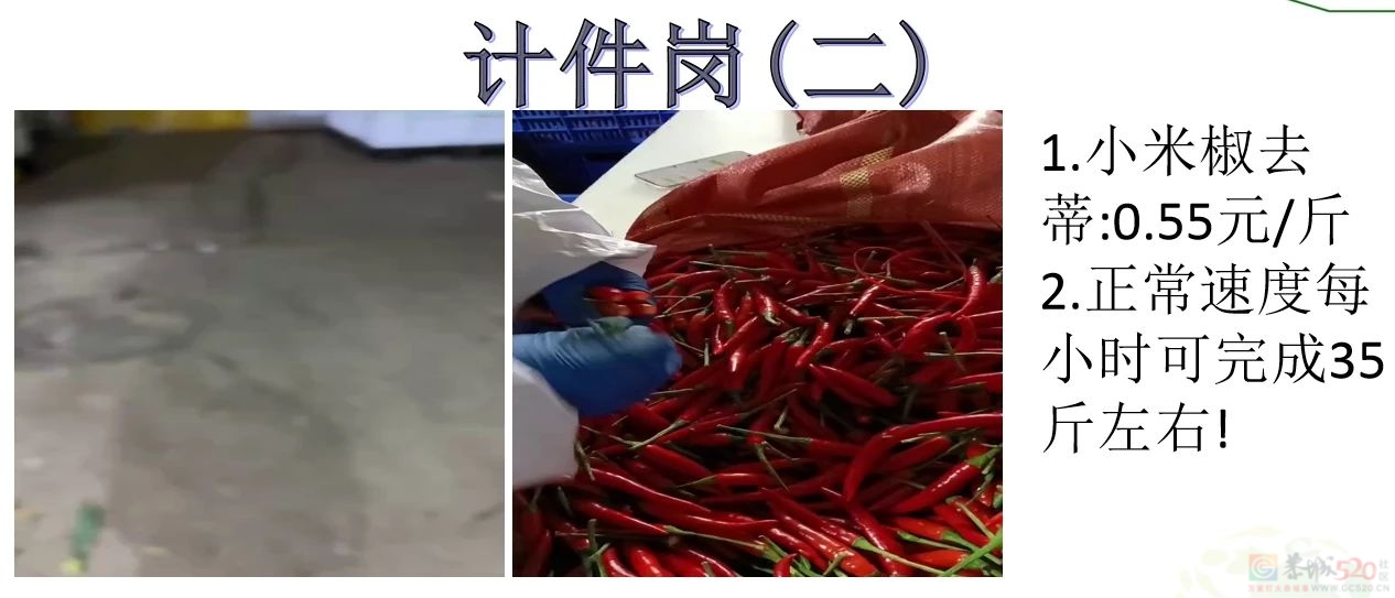 招人啦！包吃包住，购买五险，年龄58周岁以下都要！23 / 作者:论坛小编01 / 帖子ID:313926
