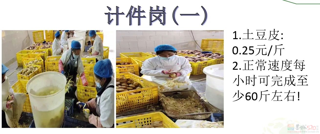 招人啦！包吃包住，购买五险，年龄58周岁以下都要！452 / 作者:论坛小编01 / 帖子ID:313926