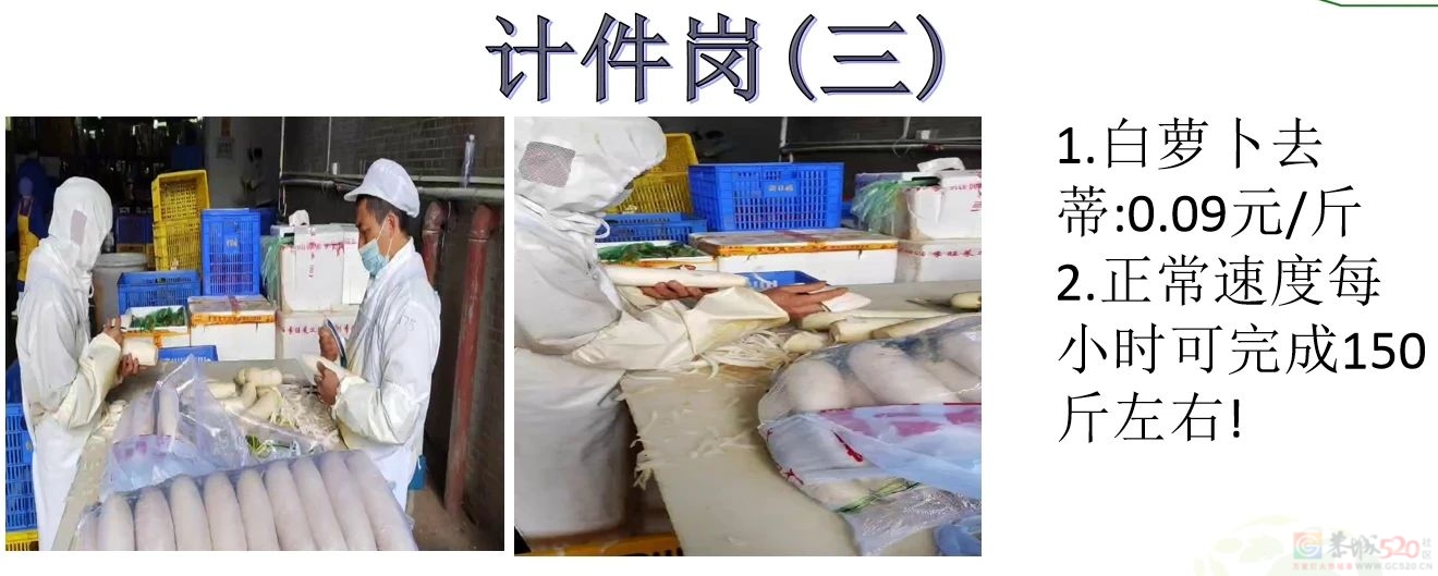 招人啦！包吃包住，购买五险，年龄58周岁以下都要！105 / 作者:论坛小编01 / 帖子ID:313926