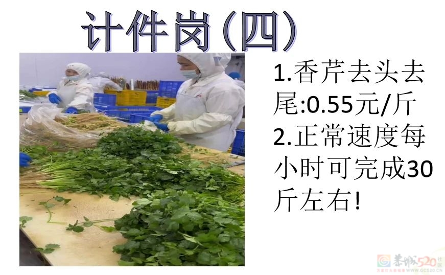 招人啦！包吃包住，购买五险，年龄58周岁以下都要！787 / 作者:论坛小编01 / 帖子ID:313926