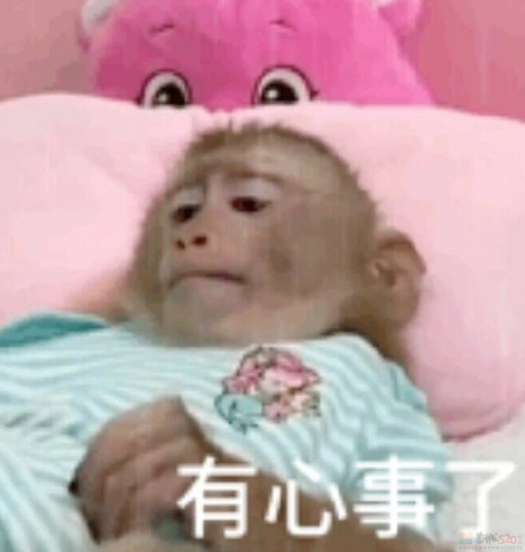 全体大降价，这场价格战让消费者乐得嘴都合不上245 / 作者:儿时的回忆 / 帖子ID:313948