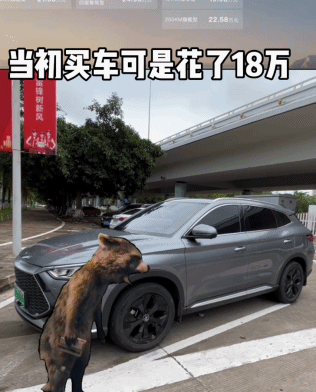 全体大降价，这场价格战让消费者乐得嘴都合不上899 / 作者:儿时的回忆 / 帖子ID:313948