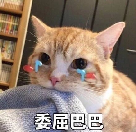 裂开了，广西天气作妖，最高35℃！这周主打升温+大风、雾和回南天...370 / 作者:尹以为荣 / 帖子ID:313975