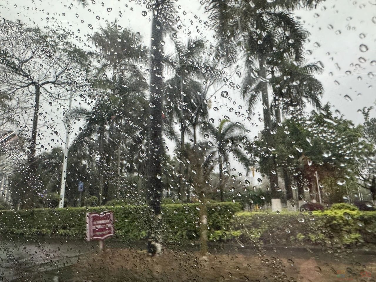 广西短暂放晴、气温回暖！新一轮雨雾天气又要来……198 / 作者:尹以为荣 / 帖子ID:314099