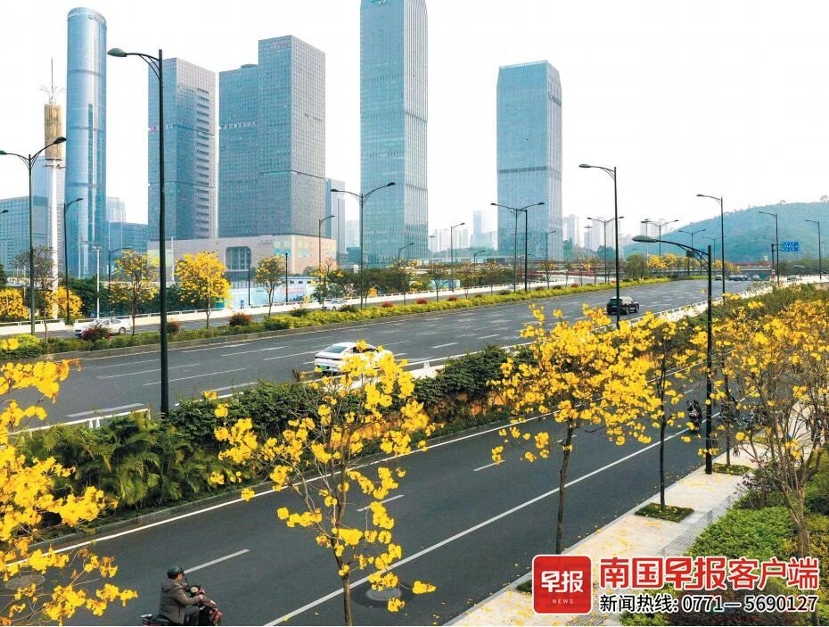 广西短暂放晴、气温回暖！新一轮雨雾天气又要来……619 / 作者:尹以为荣 / 帖子ID:314099