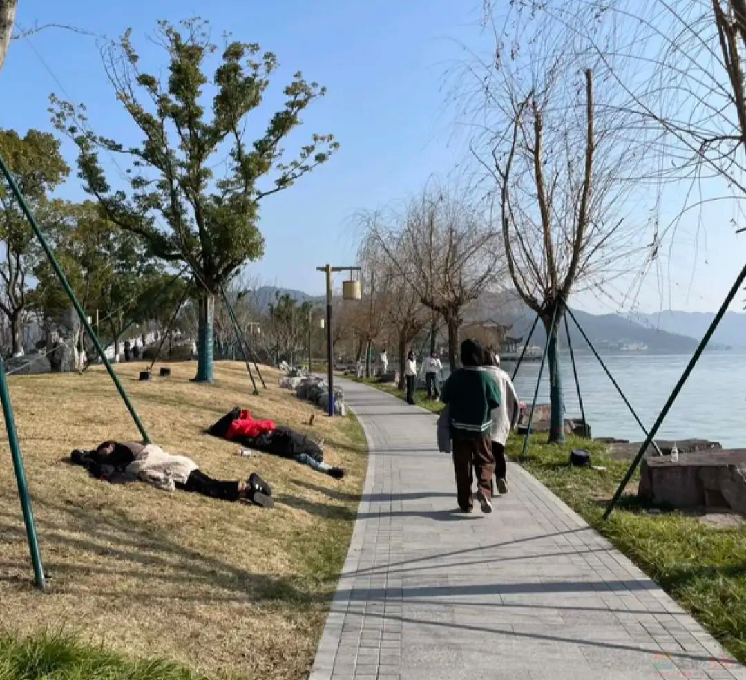 江浙沪富豪鄙视链，上海只能排第二565 / 作者:儿时的回忆 / 帖子ID:314112