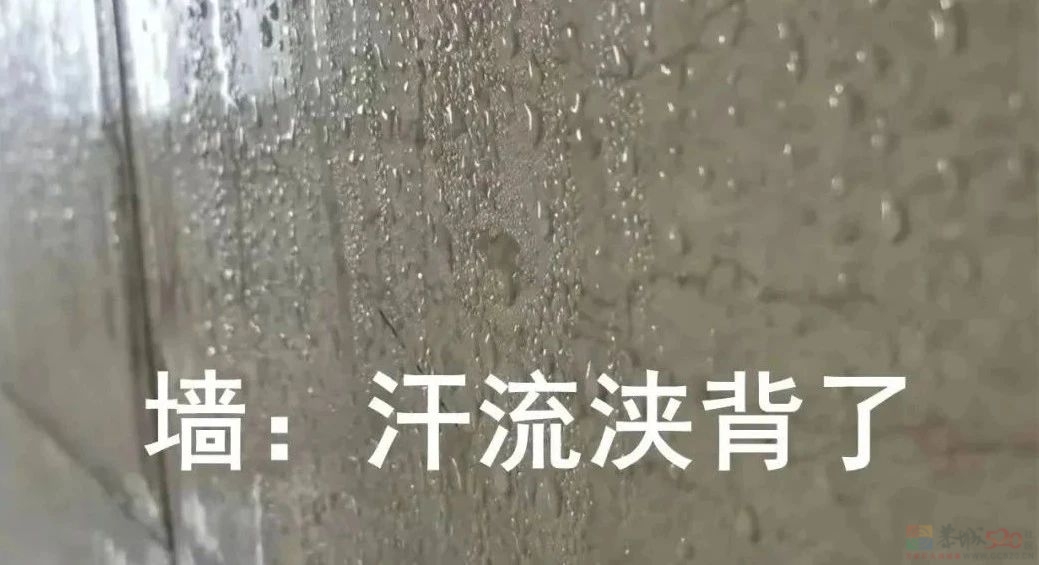 回南天马上杀到桂林！时间就在…301 / 作者:尹以为荣 / 帖子ID:314165