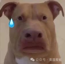 奇葩！华裔男办一场婚礼同时娶俩新娘！“都爱都娶，她们还是好闺蜜！”962 / 作者:放眼看世界 / 帖子ID:314189
