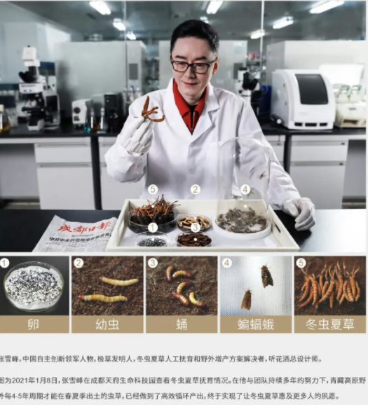 元素周期表都敢吃，怕你小小淀粉肠？69 / 作者:儿时的回忆 / 帖子ID:314238