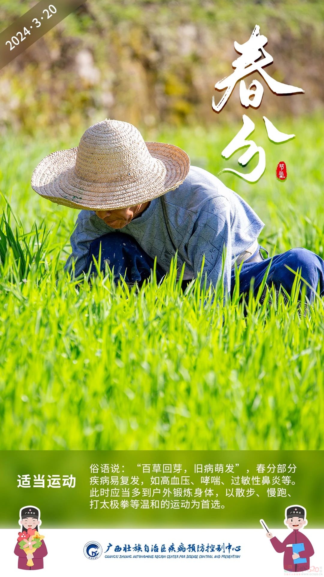 今日春分 │ 一春分两半，春意正盎然420 / 作者:健康小天使 / 帖子ID:314263