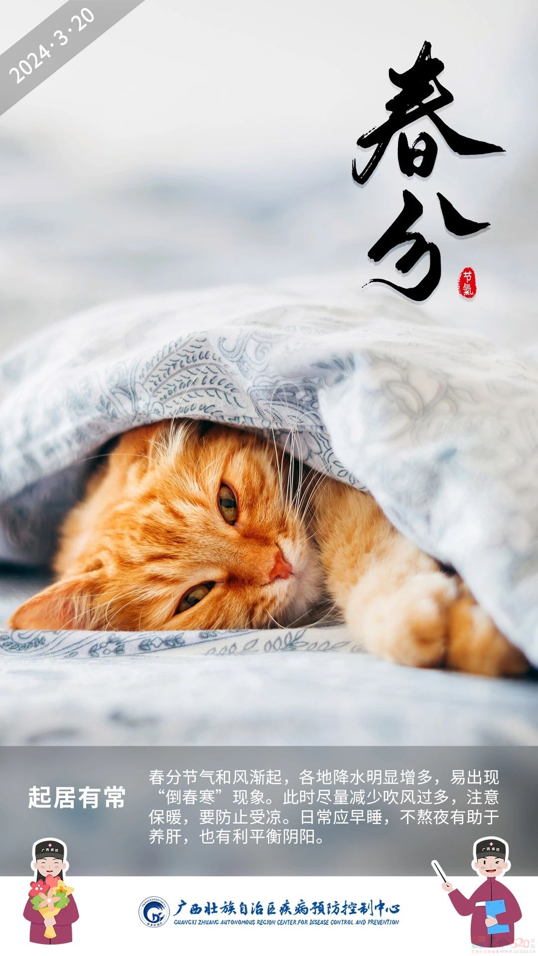 今日春分 │ 一春分两半，春意正盎然74 / 作者:健康小天使 / 帖子ID:314263