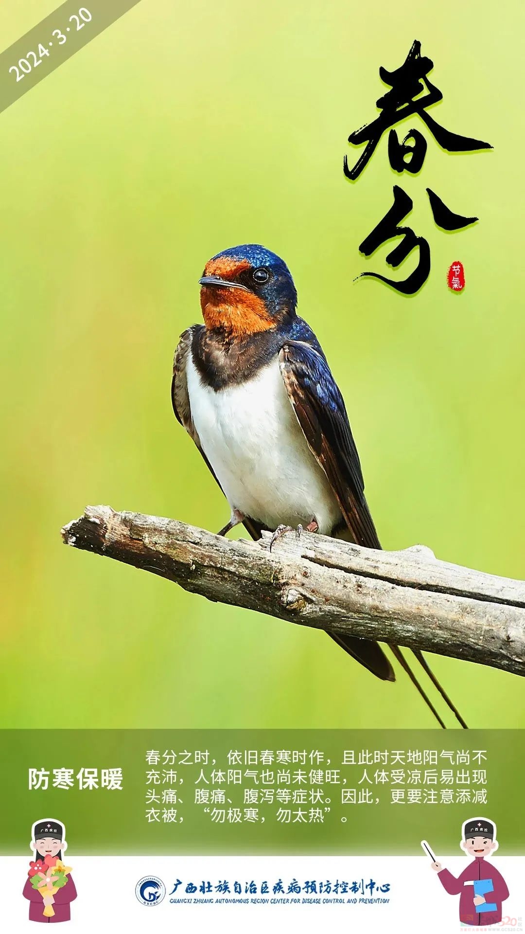 今日春分 │ 一春分两半，春意正盎然274 / 作者:健康小天使 / 帖子ID:314263