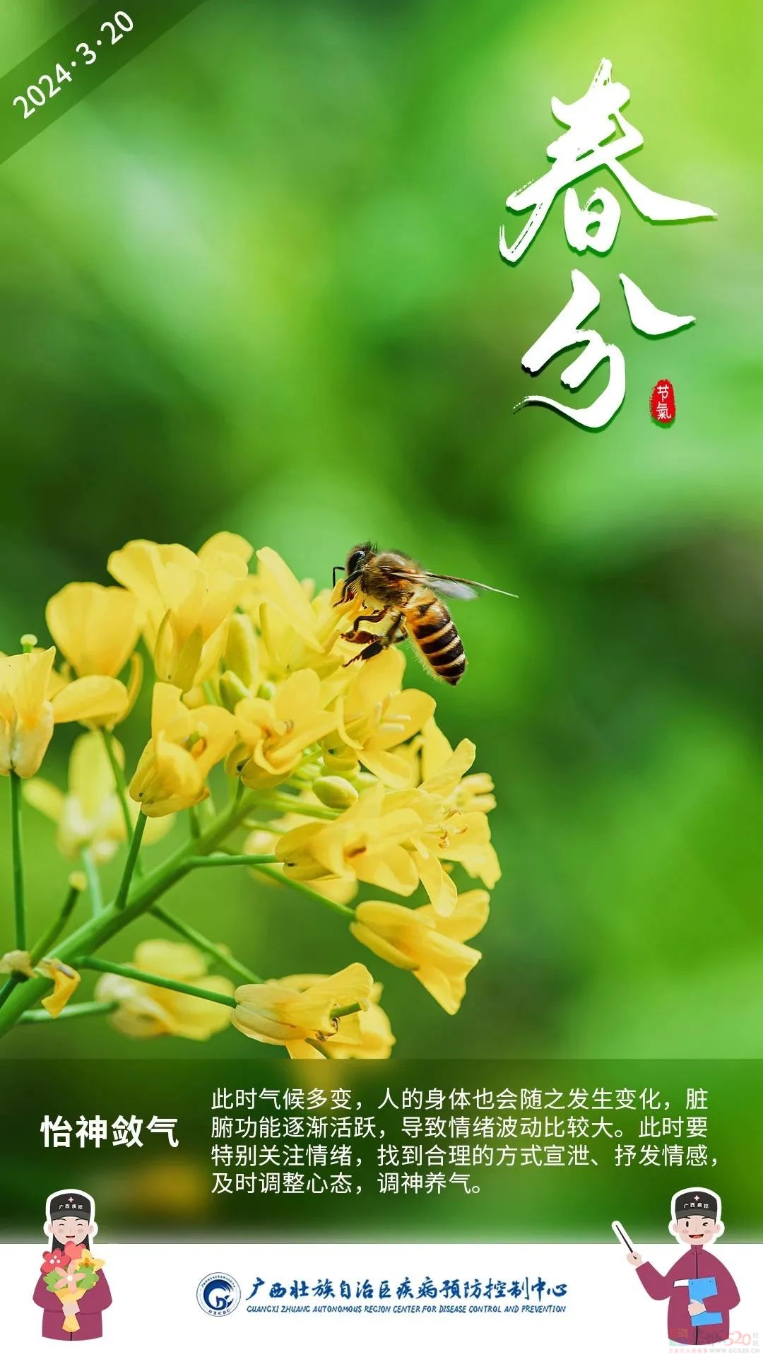 今日春分 │ 一春分两半，春意正盎然650 / 作者:健康小天使 / 帖子ID:314263