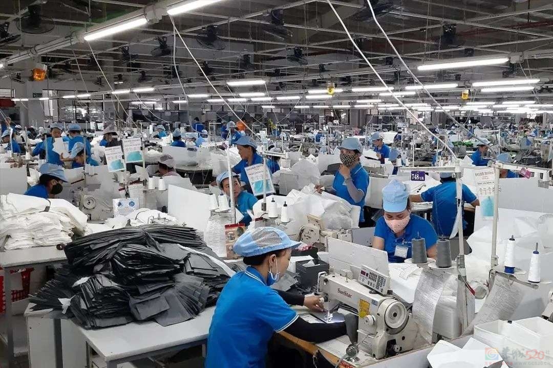 大厂会磨灭员工的“个性化”吗?277 / 作者:论坛小编01 / 帖子ID:314371