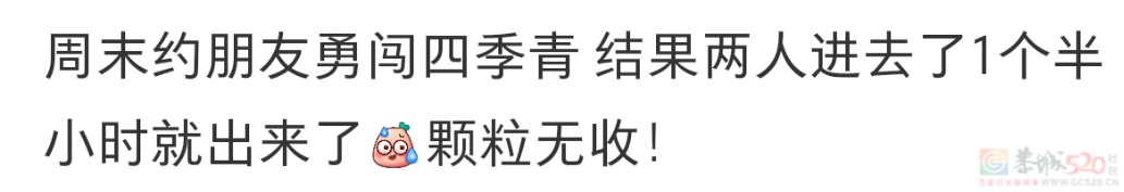 裤子5元、外套20，全国大学生争相勇闯这“物价盆地”443 / 作者:儿时的回忆 / 帖子ID:314461