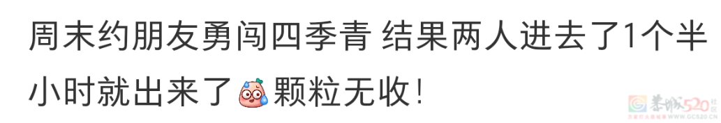 裤子5元、外套20，全国大学生争相勇闯这“物价盆地”766 / 作者:儿时的回忆 / 帖子ID:314461