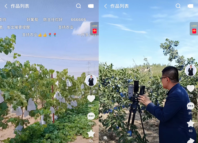 中国的相亲直播间，已经火到日本了。。。783 / 作者:儿时的回忆 / 帖子ID:314479