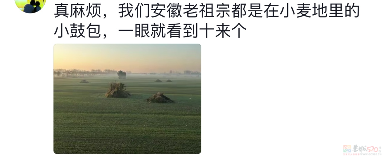 “爬山又过河还拜错坟头”，华南三省祭祖看傻北方人854 / 作者:儿时的回忆 / 帖子ID:314521