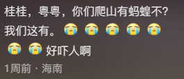 “爬山又过河还拜错坟头”，华南三省祭祖看傻北方人86 / 作者:儿时的回忆 / 帖子ID:314521