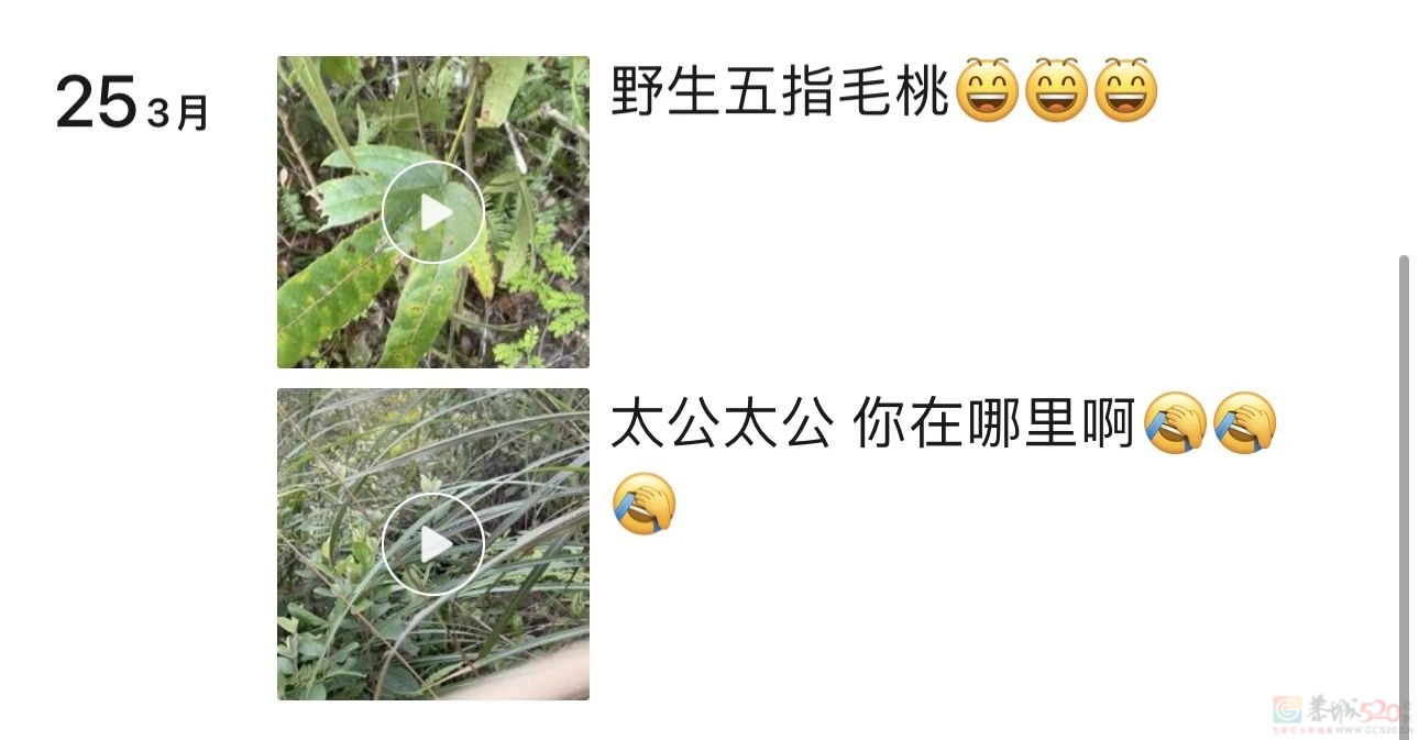 “爬山又过河还拜错坟头”，华南三省祭祖看傻北方人899 / 作者:儿时的回忆 / 帖子ID:314521