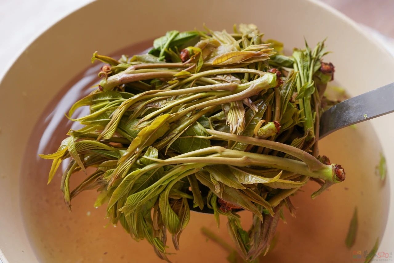 嫩嫩的春天小菜，家人天天点名要吃，做起来花不了10分钟。958 / 作者:爱生活爱美食 / 帖子ID:314637