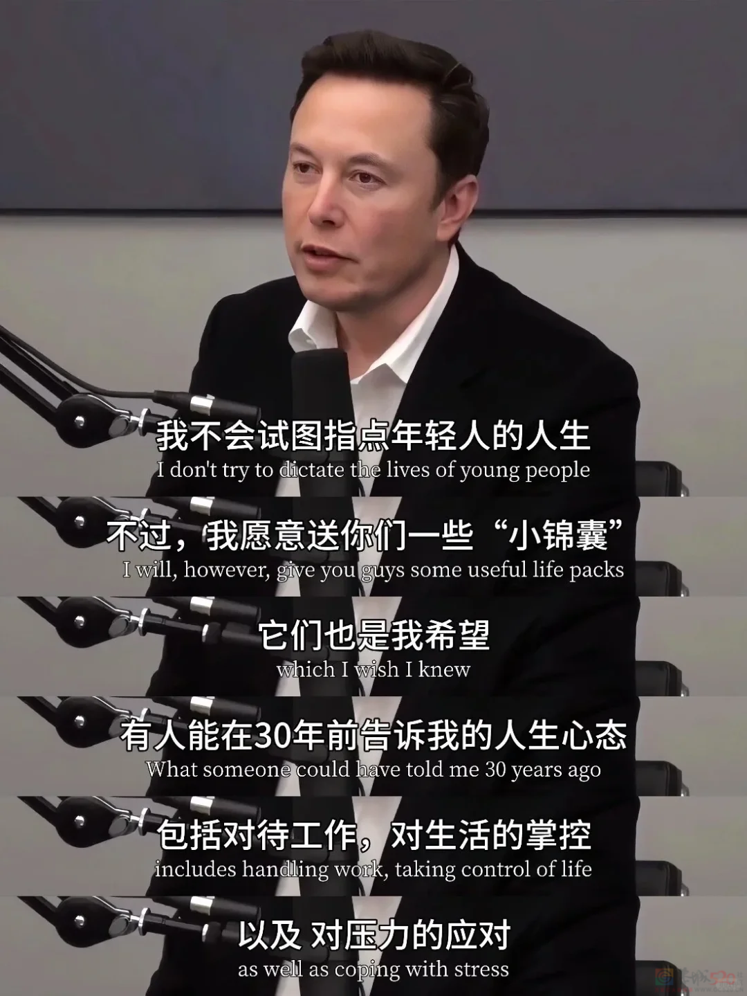 罗翔马斯克董宇辉，被营销号整成了毒鸡汤批发部979 / 作者:儿时的回忆 / 帖子ID:314686