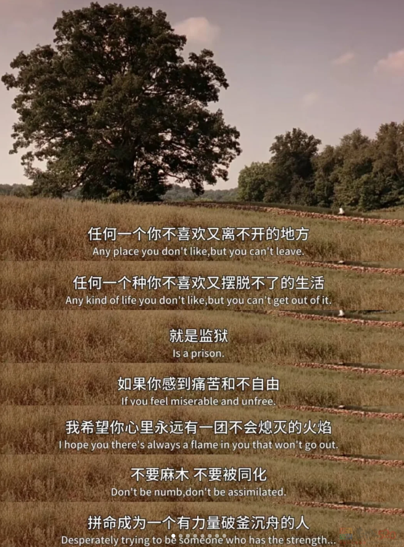 罗翔马斯克董宇辉，被营销号整成了毒鸡汤批发部468 / 作者:儿时的回忆 / 帖子ID:314686